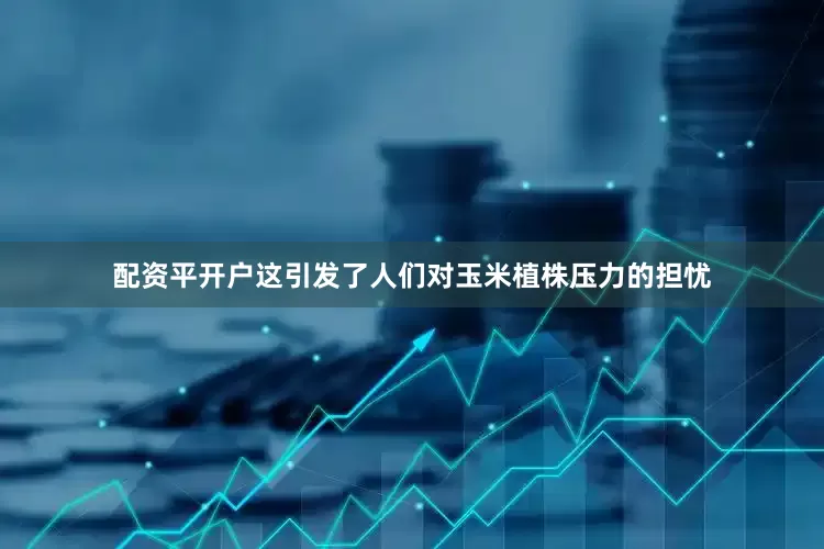 配资平开户这引发了人们对玉米植株压力的担忧